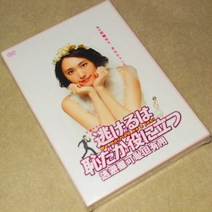 逃げるは恥だが役に立つ DVD-BOX